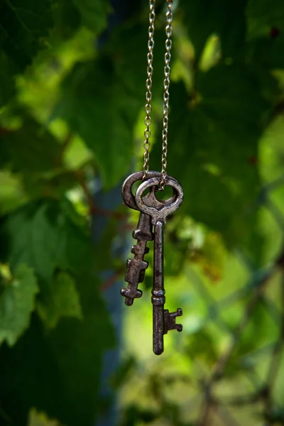Eski Antik Iskelet Anahtarlar Metal Zincirden Sarkıyor — Stok fotoğraf