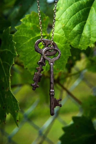 Παλιά Αντικέ Κλειδιά Σκελετού Κρέμονται Από Μεταλλική Αλυσίδα Ενάντια Ταλαιπωρημένη — Φωτογραφία Αρχείου