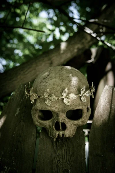 Human Skeleton Skull King Queen Wearing Royal Gold Leaf Crown — Stock Photo, Image