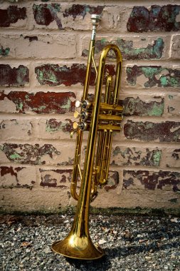 Eski paslı Jazz enstrümanı, kulübün dışındaki tuğla duvar binasına yaslanıyor.