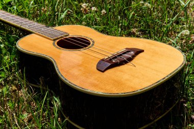 Akustik bariton ukulele gitar bir çim tarlasında yatıyor.