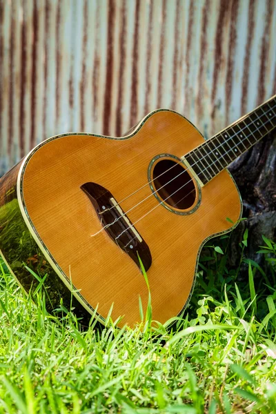 Acoustic Baritone Ukulele Guitar Leaning Stump Yard — Stock Photo, Image