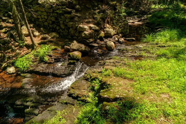 苔むした岩を覆う森の奥の滝 — ストック写真