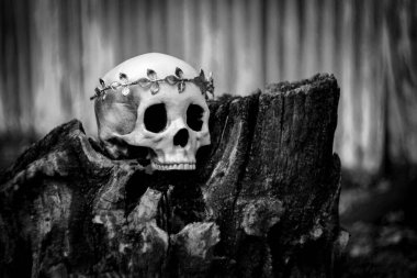 Kraliyet altın yaprağı tacını takan Kral ve Kraliçenin iskelet iskeleti.