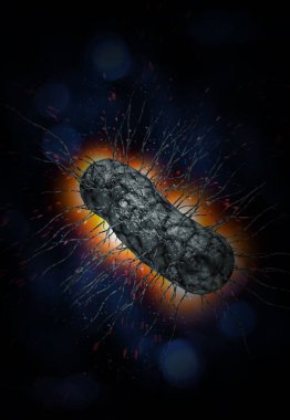 Escherichia coli ayrıca Ecoli bakteri sağlığı bilim konsepti olarak da bilinir.