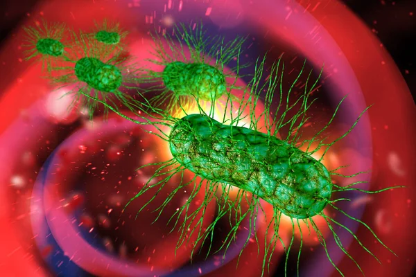 대장균 Escherichia Coli 대장균 삽화로도 알려져 — 스톡 사진