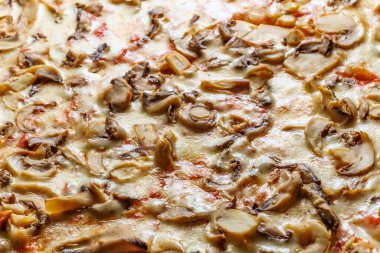 Mantar soslu New York usulü peynirli pizza dilimi