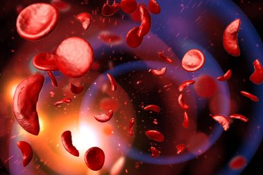 Orak hücre anemi hastalığı (SCD) kan hücreleri 3 boyutlu illüstrasyon