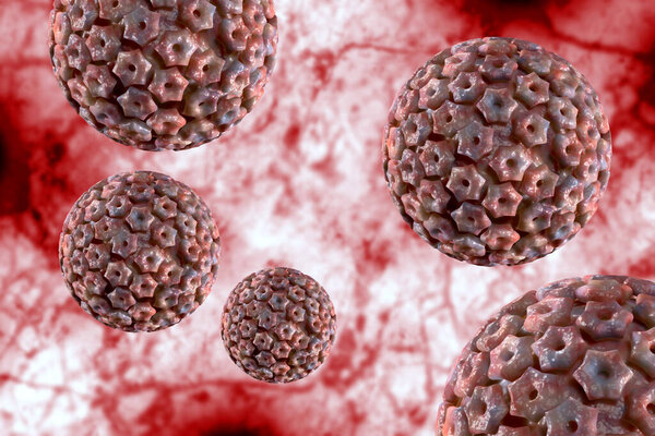 Infectious disease herpes simplex virus cells conceptual 3D illustration