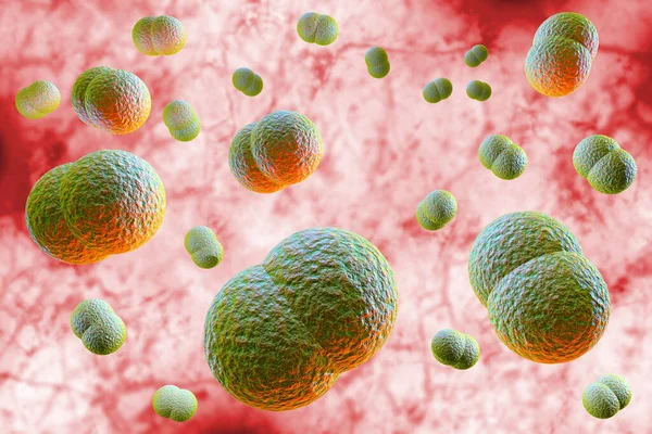 Microscópio Perto Bactérias Meningite Também Conhecido Como Meningococcus Ilustração — Fotografia de Stock