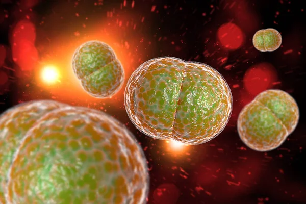 Microscoop Close Van Meningitis Bacteriën Ook Bekend Als Meningococcus Illustratie — Stockfoto