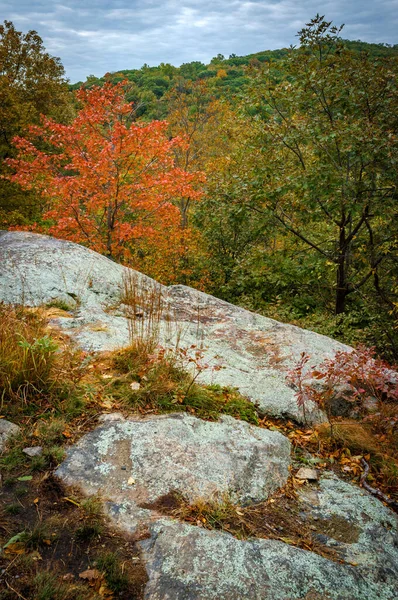 カラフルな山の風景ラマポ ニュージャージー州マワウの予約 — ストック写真