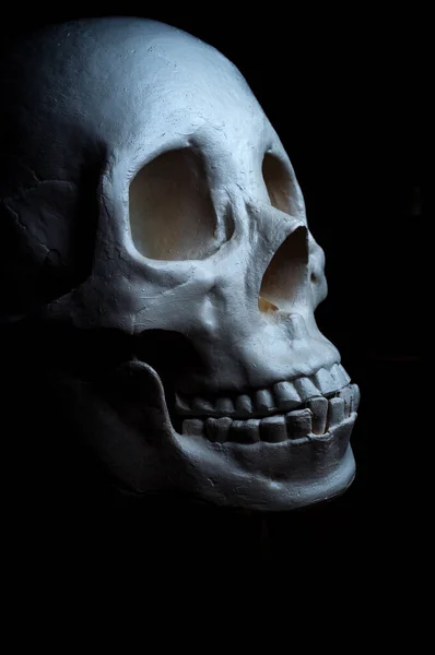 10月の休日の背景のための恐ろしい怒っているハロウィーンの頭蓋骨 — ストック写真