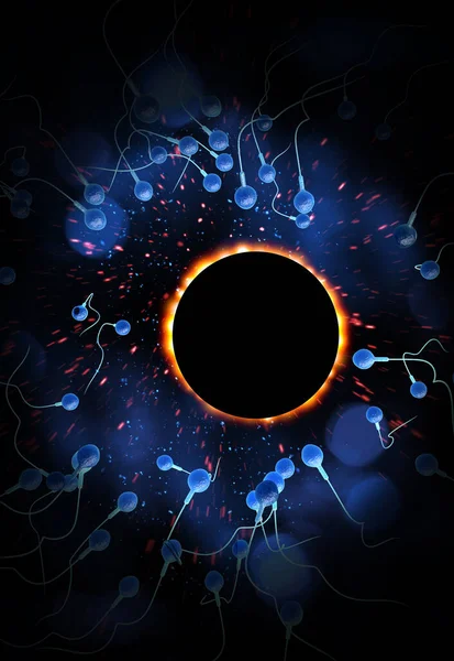 Плавание Расы Сперматозоидов Оплодотворения Плодородной Человеческой Яйцеклетки Иллюстрации — стоковое фото