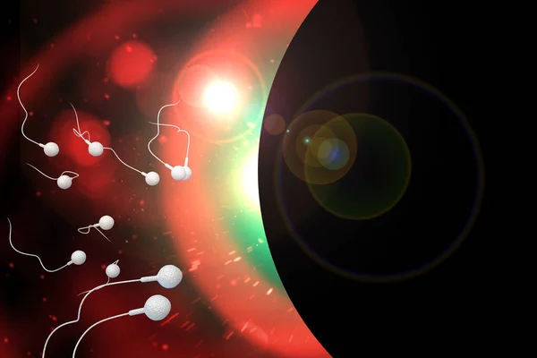 Плавание Расы Сперматозоидов Оплодотворения Плодородной Человеческой Яйцеклетки Иллюстрации — стоковое фото