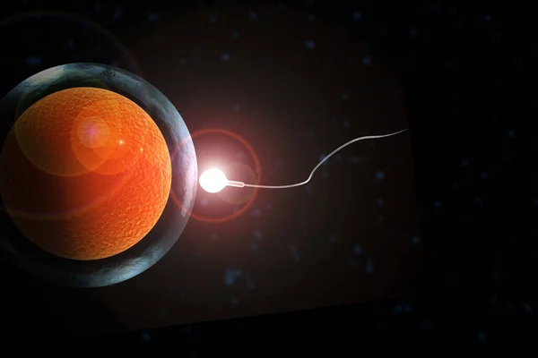Natação Esperma Corrida Para Engravidar Óvulo Humano Fértil Ilustração — Fotografia de Stock