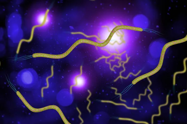 Mikroskop Närbild Lockigt Formade Spirella Bakterier Illustration — Stockfoto
