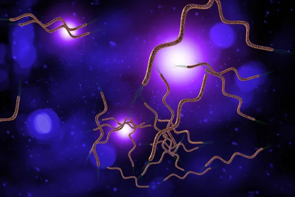 Mikroskop Närbild Lockigt Formade Spirella Bakterier Illustration — Stockfoto