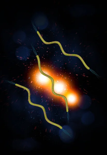 Κοντινό Μικροσκόπιο Σγουρών Βακτηρίων Spirella Illustration — Φωτογραφία Αρχείου