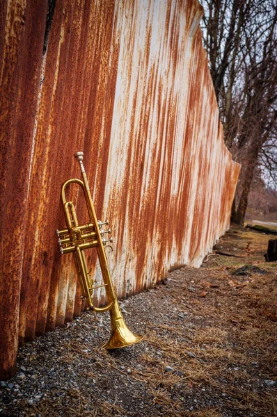 Jesienny Instrument Jazzowy Trąbka Stojąca Samotnie Naturze — Zdjęcie stockowe