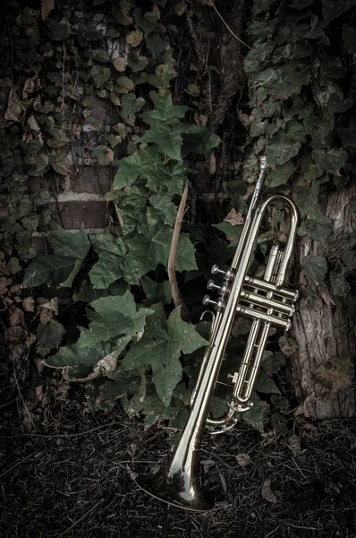 Осенний Джазовый Инструмент Стоит Одиночестве Природе — стоковое фото