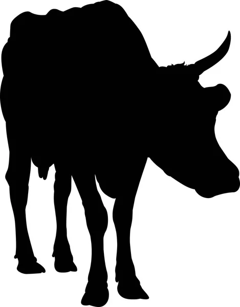 Vaca Aislada Sobre Fondo Blanco — Vector de stock