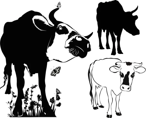 Colección Vaca Aislada Sobre Fondo Blanco — Vector de stock