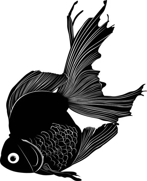 Aquarium Fish Isolated White Background — Stock Vector