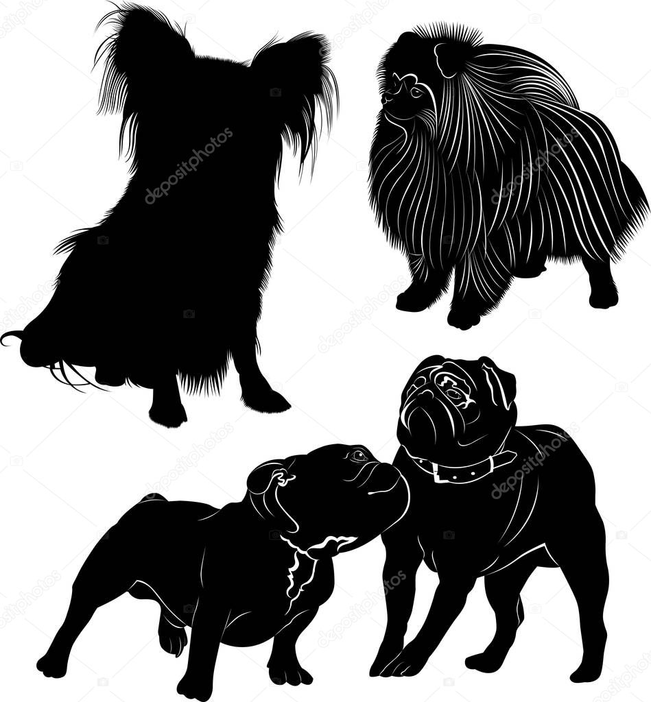 Set of dog silhouettes   isolated on white background
