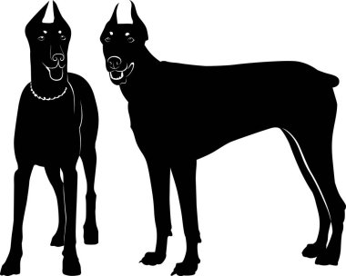 Beyaz arka plan üzerinde izole köpek dobermann silüeti