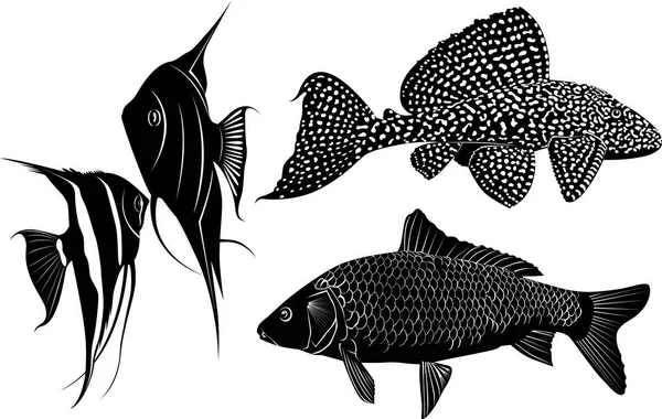 30 Ikan Bawal Vector Images Ikan Bawal Illustrations Depositphotos<script async src=