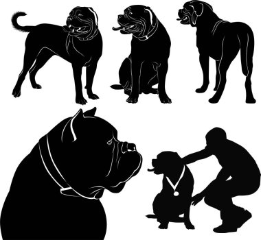köpek Dogue de Bordeaux siluetleri kümesi