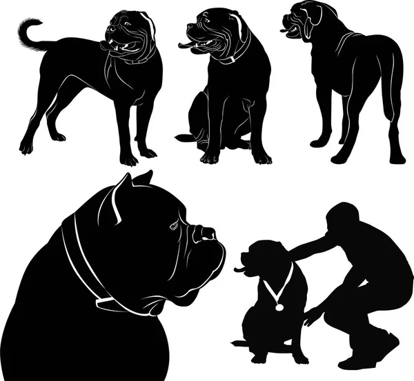 Reeks Silhouetten Van Honden Bordeauxdog — Stockvector