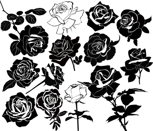 Set Fiori Rose Isolati Sfondo Bianco — Vettoriale Stock