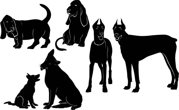 Ensemble Silhouettes Chiens — Image vectorielle