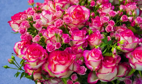 Sfondo Floreale Rose Rosse — Foto Stock