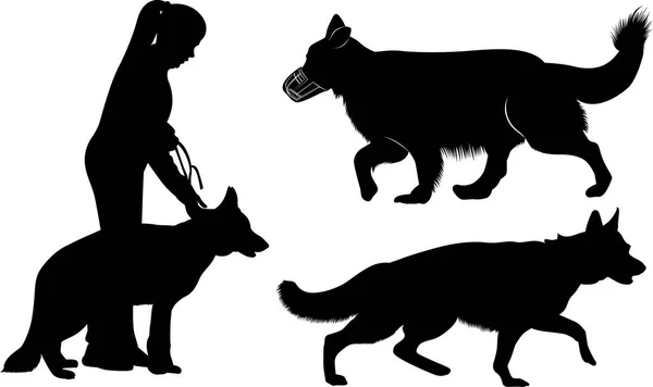 Set Siluetas Para Perros German Shepherd Dogs — Archivo Imágenes Vectoriales