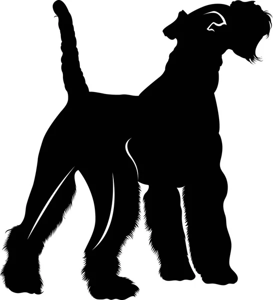 Silhueta Raça Cão Vetor Fox Terrier — Vetor de Stock