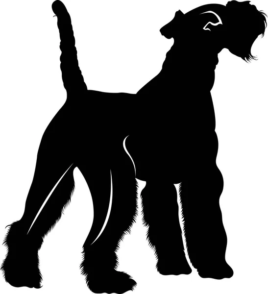 Silhouette Vettore Cane Razza Fox Terrier — Vettoriale Stock