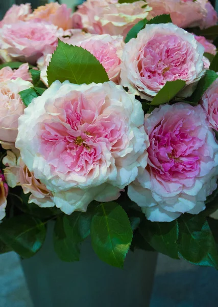 Buquê festivo de flores rosas — Fotografia de Stock