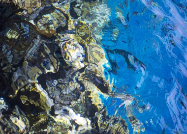 deniz arka plan Kızıldeniz ve mercan