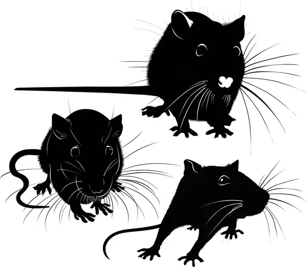 Rat Silhouette Vector Collection Isolated White Background — Stock Vector