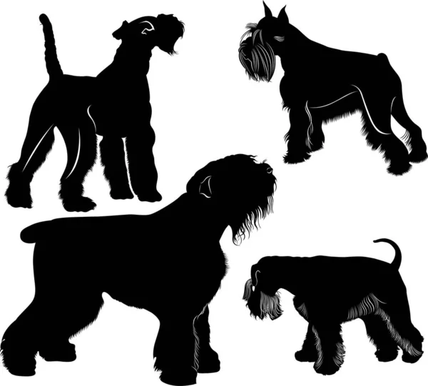 Vektor Schnauzer Och Räv Förfärlig Hund Insamling Vector Hundar Set — Stock vektor