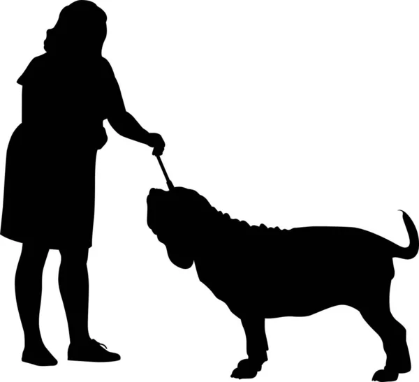 在一个展览上 那不勒斯式的吉士蒂夫犬和一个狗管理员在一起 — 图库矢量图片