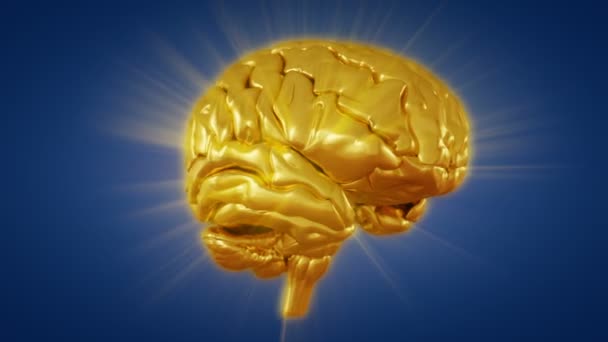 video-pro-mozg-cheloveka-seks-anal-domashniy-russkoe