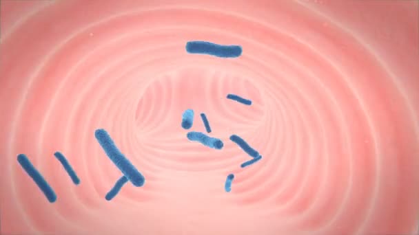 Tuberkulózní bakterie procházejí průdušek — Stock video