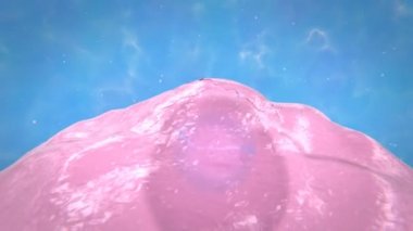 Ovum folikül yırtığı