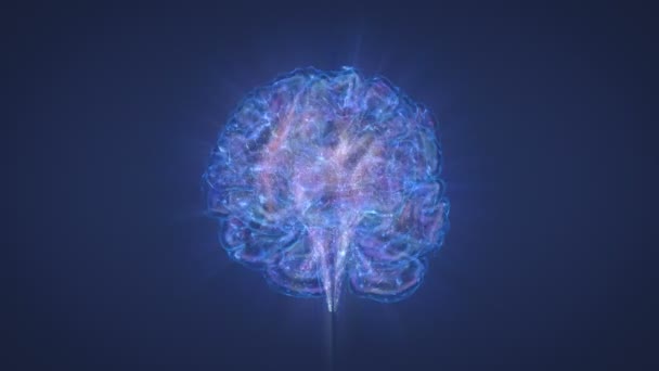 뇌 - 극지의 빛과 성운 — 비디오