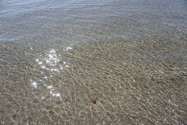 Блеск Солнца Море Медузами — стоковое фото