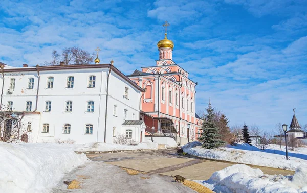 Inverno Mosteiro São João Teólogo Aldeia Poschupovo Região Ryazan — Fotografia de Stock